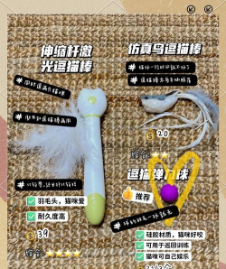 有猫爱玩什么游戏,互动玩具大推荐,增进感情乐趣多 有猫爱玩什么游戏,互动玩具大推荐,增进感情乐趣多