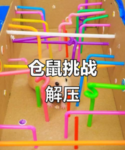 仓鼠小偷游戏攻略,掌握核心技巧,轻松通关拿高分 仓鼠小偷游戏攻略,掌握核心技巧,轻松通关拿高分