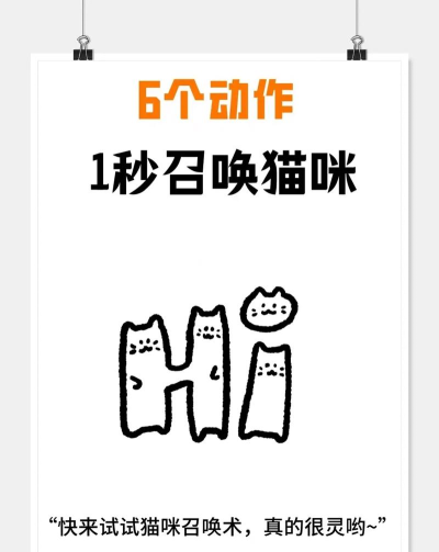 呼叫猫猫游戏怎么玩,新手入门指南,轻松掌握技巧 呼叫猫猫游戏怎么玩,新手入门指南,轻松掌握技巧