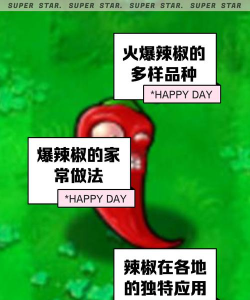 吃辣椒娱乐什么游戏,挑战味蕾极限,体验刺激趣味 吃辣椒娱乐什么游戏,挑战味蕾极限,体验刺激趣味