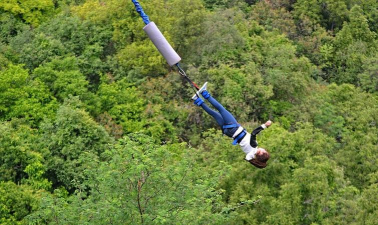 悬崖跳树枝什么游戏,玩法简单,上手容易 悬崖跳树枝什么游戏,玩法简单,上手容易