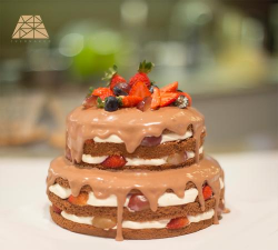 贝壳蛋糕游戏怎么玩,新手入门指南,轻松上手技巧 贝壳蛋糕游戏怎么玩,新手入门指南,轻松上手技巧