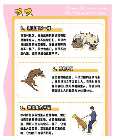 城狗是什么游戏,玩法介绍,适合人群 城狗是什么游戏,玩法介绍,适合人群