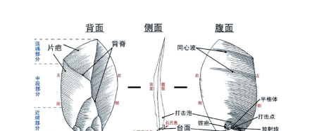 石器的游戏怎么玩,新手入门指南,快速上手技巧 石器的游戏怎么玩,新手入门指南,快速上手技巧