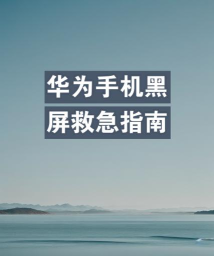 江山北望黑屏闪退怎么办 江山北望黑屏闪退怎么办