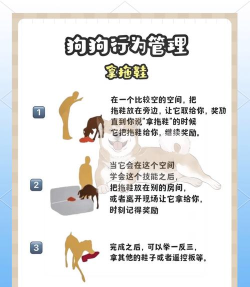 抓狗子是什么游戏,玩法简单,适合多人互动 抓狗子是什么游戏,玩法简单,适合多人互动