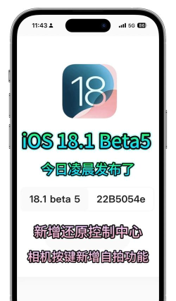 ios18r手游,下载方式,版本选择 ios18r手游,下载方式,版本选择