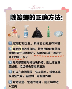 蟑螂防守游戏怎么玩,掌握核心规则,快速上手体验 蟑螂防守游戏怎么玩,掌握核心规则,快速上手体验