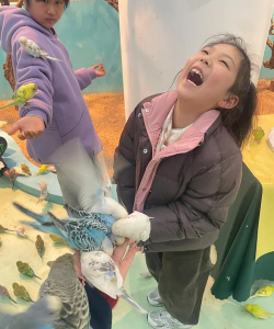 动物能做些什么游戏,互动乐趣多,增进情感交流 动物能做些什么游戏,互动乐趣多,增进情感交流