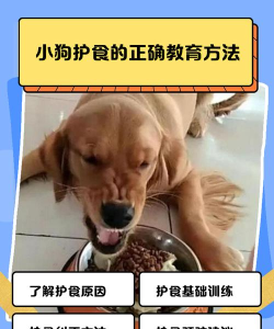 小狗吃食游戏怎么玩,掌握核心玩法,轻松上手体验 小狗吃食游戏怎么玩,掌握核心玩法,轻松上手体验