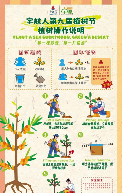 植物树游戏攻略,新手入门指南,快速上手技巧 植物树游戏攻略,新手入门指南,快速上手技巧