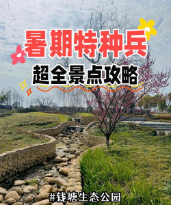 公园游戏赚钱攻略,轻松上手,快速变现 公园游戏赚钱攻略,轻松上手,快速变现