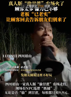 偷甘蔗游戏攻略,快速上手技巧,轻松通关秘籍 偷甘蔗游戏攻略,快速上手技巧,轻松通关秘籍