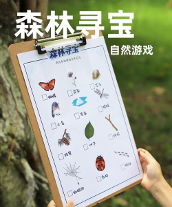 守护森林有什么游戏,推荐几款,体验自然乐趣 守护森林有什么游戏,推荐几款,体验自然乐趣