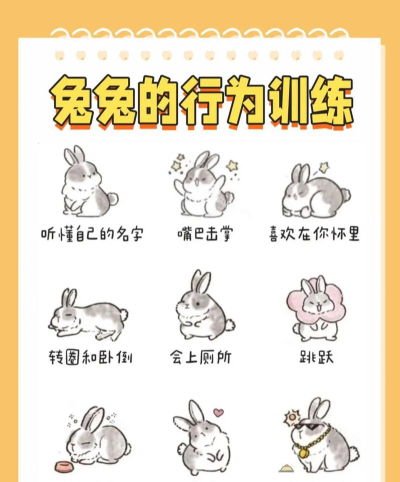 勇敢兔子游戏怎么玩,掌握核心规则,轻松上手体验 勇敢兔子游戏怎么玩,掌握核心规则,轻松上手体验