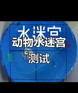 隐藏水母是什么游戏,玩法简单有趣,适合休闲放松 隐藏水母是什么游戏,玩法简单有趣,适合休闲放松