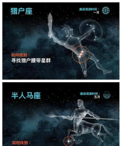 明星攻略游戏视频,新手入门指南,快速上手技巧 明星攻略游戏视频,新手入门指南,快速上手技巧
