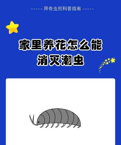 虫潮游戏攻略,新手快速上手,核心玩法解析 虫潮游戏攻略,新手快速上手,核心玩法解析