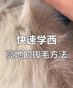 手动拔毛游戏怎么玩,掌握核心技巧,轻松上手不费力 手动拔毛游戏怎么玩,掌握核心技巧,轻松上手不费力