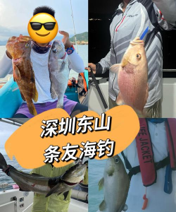 海钓王游戏怎么玩,快速上手技巧,新手必看攻略 海钓王游戏怎么玩,快速上手技巧,新手必看攻略