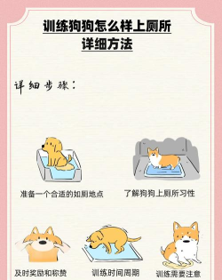跑出厕所游戏攻略,掌握关键技巧,轻松通关无压力 跑出厕所游戏攻略,掌握关键技巧,轻松通关无压力