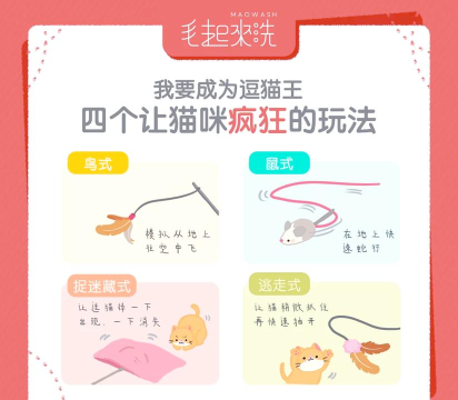 小猫的游戏怎么玩,新手入门指南,轻松上手技巧 小猫的游戏怎么玩,新手入门指南,轻松上手技巧