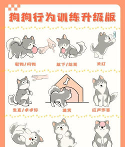 老王狗子游戏攻略,新手快速上手,高手进阶技巧 老王狗子游戏攻略,新手快速上手,高手进阶技巧