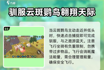 什么游戏有鸟蛇,玩法特点,选择建议 什么游戏有鸟蛇,玩法特点,选择建议