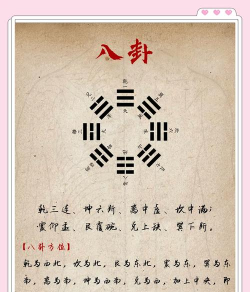 占卜海龟游戏攻略,新手入门技巧,快速上手方法 占卜海龟游戏攻略,新手入门技巧,快速上手方法