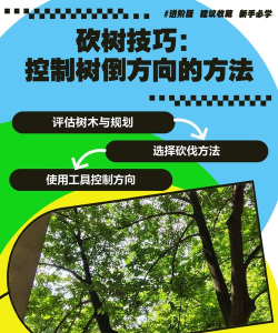 游戏攻略种树技巧,快速上手方法,新手必看指南 游戏攻略种树技巧,快速上手方法,新手必看指南
