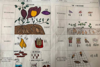 挖红薯游戏怎么玩,掌握核心规则,体验趣味互动 挖红薯游戏怎么玩,掌握核心规则,体验趣味互动