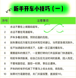 车南游戏攻略,新手入门指南,快速上手技巧 车南游戏攻略,新手入门指南,快速上手技巧