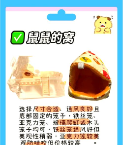 仓鼠房间游戏攻略,新手入门指南,快速上手技巧 仓鼠房间游戏攻略,新手入门指南,快速上手技巧
