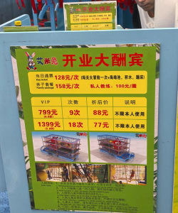欢呼是什么游戏app,娱乐新选择,玩法全解析 欢呼是什么游戏app,娱乐新选择,玩法全解析
