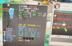 大话手游神兵初值垃圾,属性提升方法,实战效果分析 大话手游神兵初值垃圾,属性提升方法,实战效果分析