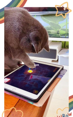 peppy cat游戏怎么玩,掌握核心技巧,轻松上手体验 peppy cat游戏怎么玩,掌握核心技巧,轻松上手体验