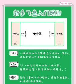 黑白飞碟游戏怎么玩,掌握核心规则,轻松上手体验 黑白飞碟游戏怎么玩,掌握核心规则,轻松上手体验