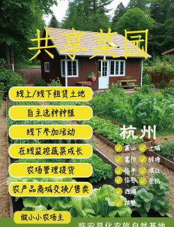 如意菜园游戏攻略,快速上手技巧,轻松管理菜园 如意菜园游戏攻略,快速上手技巧,轻松管理菜园