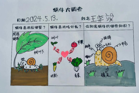 蜗牛时代是什么游戏,玩法特点介绍,适合人群分析 蜗牛时代是什么游戏,玩法特点介绍,适合人群分析