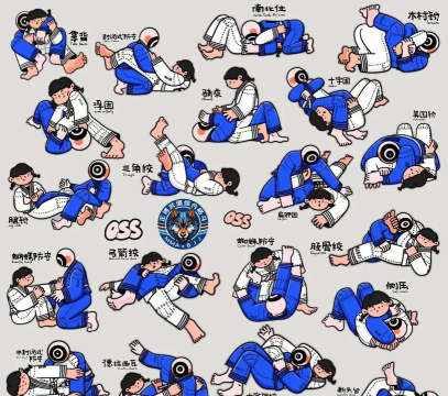 柔道游戏女生怎么玩,掌握技巧轻松入门,享受竞技乐趣 柔道游戏女生怎么玩,掌握技巧轻松入门,享受竞技乐趣