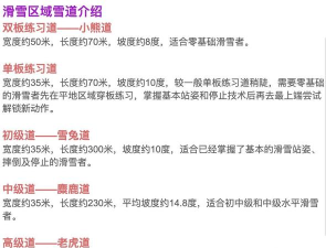 游戏冰雪赛道攻略,掌握技巧,轻松过关 游戏冰雪赛道攻略,掌握技巧,轻松过关