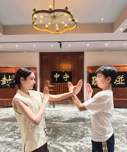 咏春拳什么游戏,玩法特色,适合人群 咏春拳什么游戏,玩法特色,适合人群