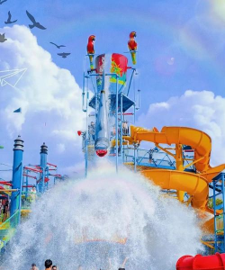 海豚小岛游戏怎么玩,快速上手技巧,新手避坑指南 海豚小岛游戏怎么玩,快速上手技巧,新手避坑指南