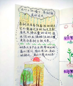 生存种树游戏怎么玩,掌握核心技巧,轻松上手体验 生存种树游戏怎么玩,掌握核心技巧,轻松上手体验