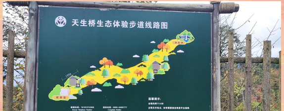 穿越天桥游戏攻略,快速通关技巧,新手必看指南 穿越天桥游戏攻略,快速通关技巧,新手必看指南