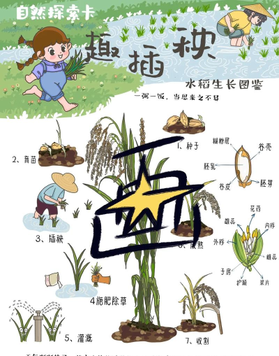 怀旧插秧游戏怎么玩,重温童年乐趣,掌握操作技巧 怀旧插秧游戏怎么玩,重温童年乐趣,掌握操作技巧