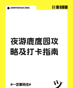夜场游戏老鹰怎么玩,掌握核心规则,快速融入氛围 夜场游戏老鹰怎么玩,掌握核心规则,快速融入氛围