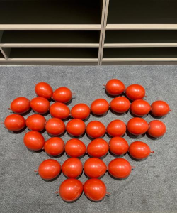 气球接力是什么游戏,玩法简单,适合聚会 气球接力是什么游戏,玩法简单,适合聚会