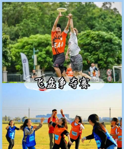 飞飞吃喝游戏攻略,新手入门指南,快速上手技巧 飞飞吃喝游戏攻略,新手入门指南,快速上手技巧