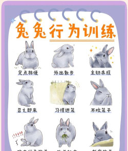 兔子屁屁游戏怎么玩,新手入门指南,轻松掌握技巧 兔子屁屁游戏怎么玩,新手入门指南,轻松掌握技巧